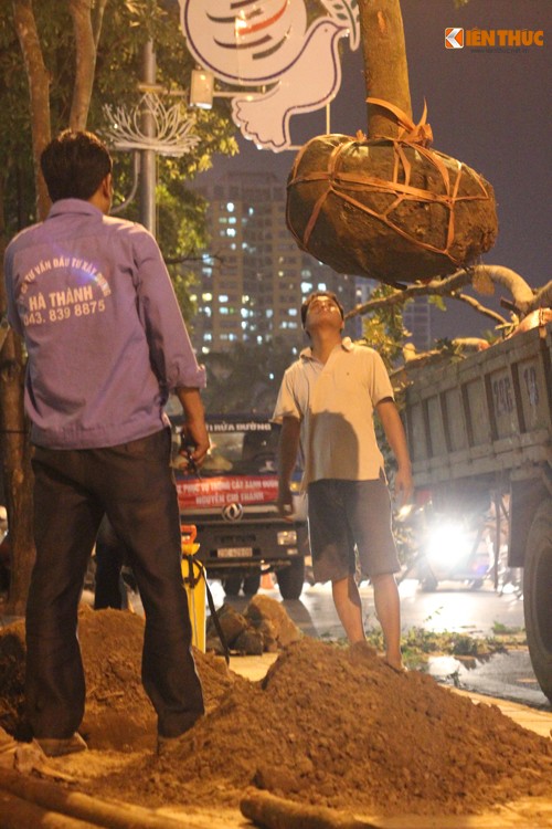 Hà Nọi tròng lại cay xanh trong dem tren duong Nguyen Chi Thanh-Hinh-6